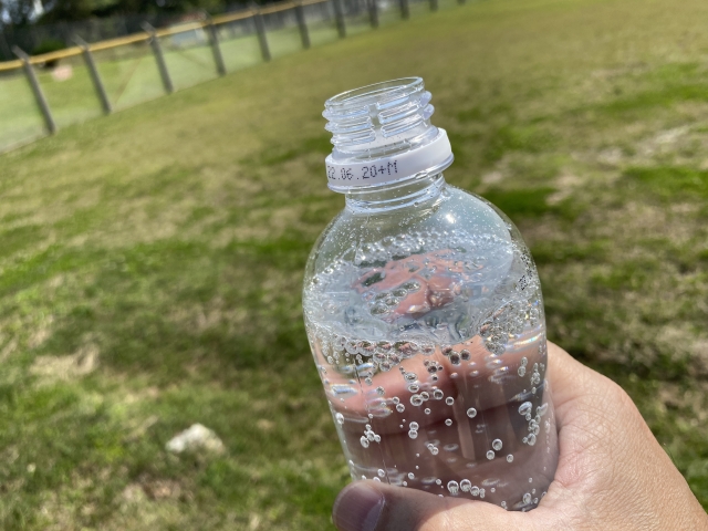 その炭酸水、気休めですか？ 痩せたい研究員と冷静な助手の仮説検証