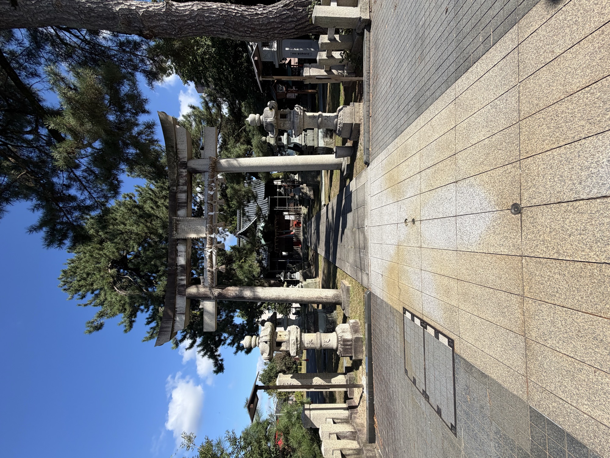 松阜神社の鳥居と参道
