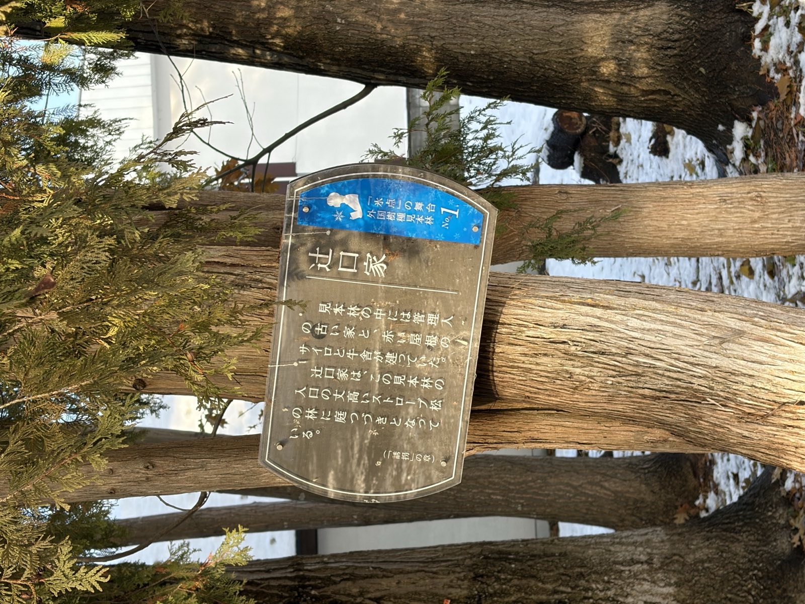 外国樹種見本林「辻口家」解説板