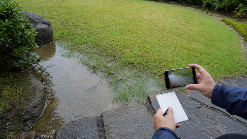 乾いた通路から大雨後の芝生に残る水たまりの範囲と引き方を撮影して記録する様子