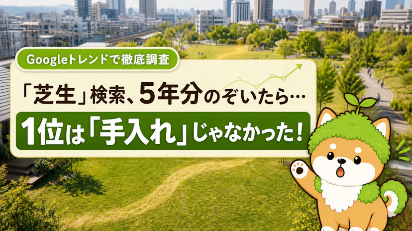 Googleトレンド5年分で判明!芝生検索の意外な8つの事実