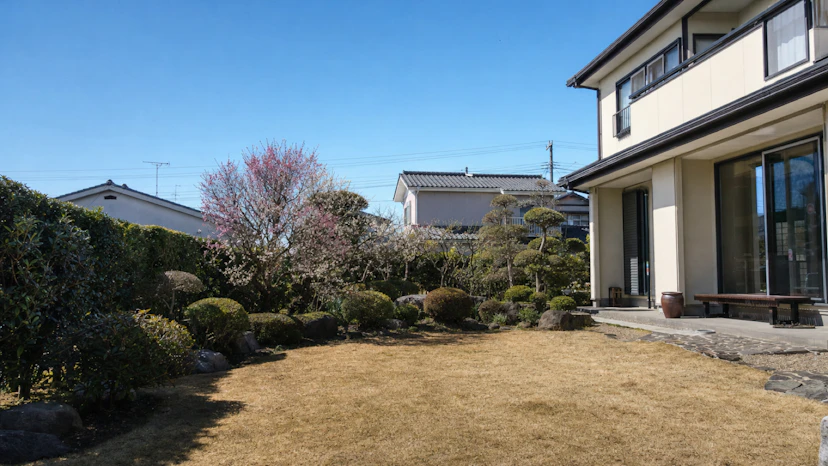 2月の芝生の手入れ|芽吹き前の段取りと芝焼きの注意【地域別】