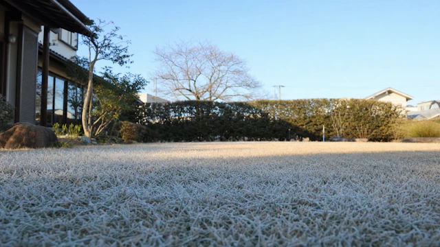 12月の芝生の手入れ|霜・雪の時期と年末の片付け【地域別】