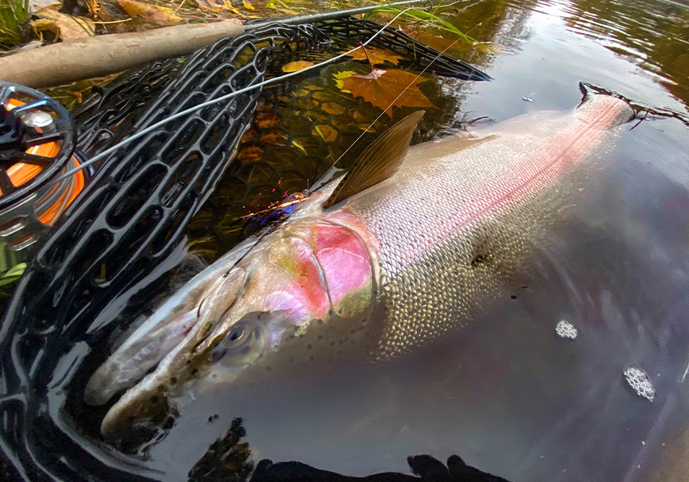 Scott Swingシリーズ発売！！ ロッドデザイナー兼社長、ジム・バーチ氏