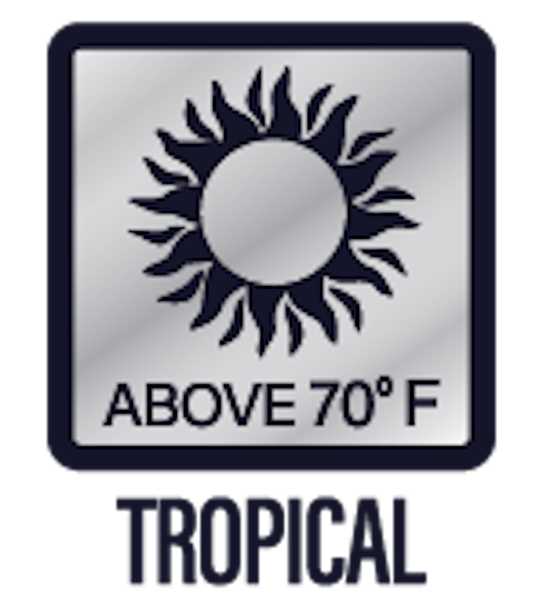 テクノロジー サムネイル