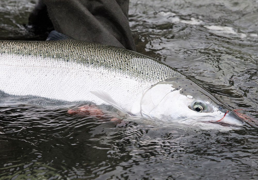 Scott Swingシリーズ発売！！ ロッドデザイナー兼社長、ジム・バーチ氏