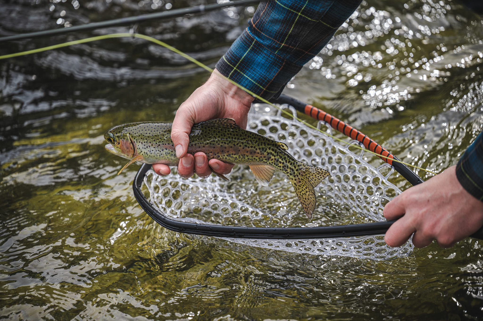 Daymaker Landing Net - Small | Simms | マーヴェリック / Maverick