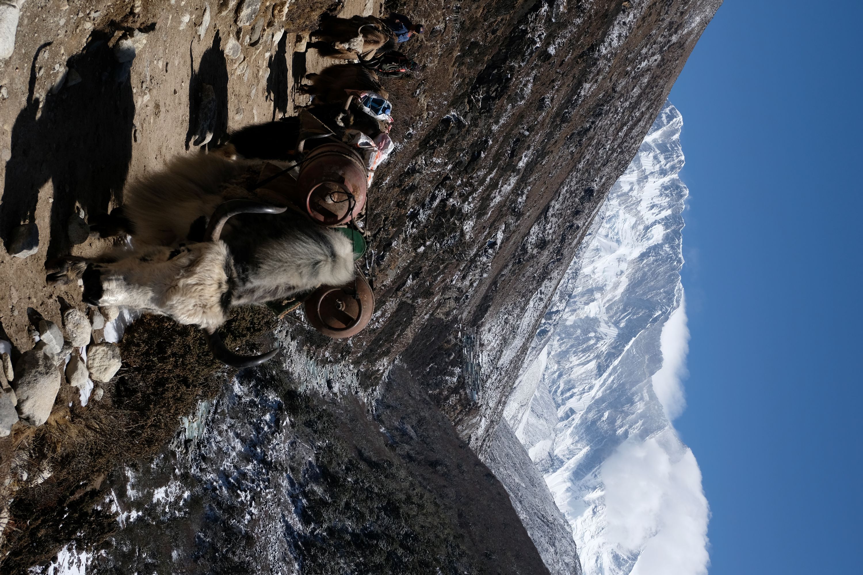 ネパール エベレスト街道