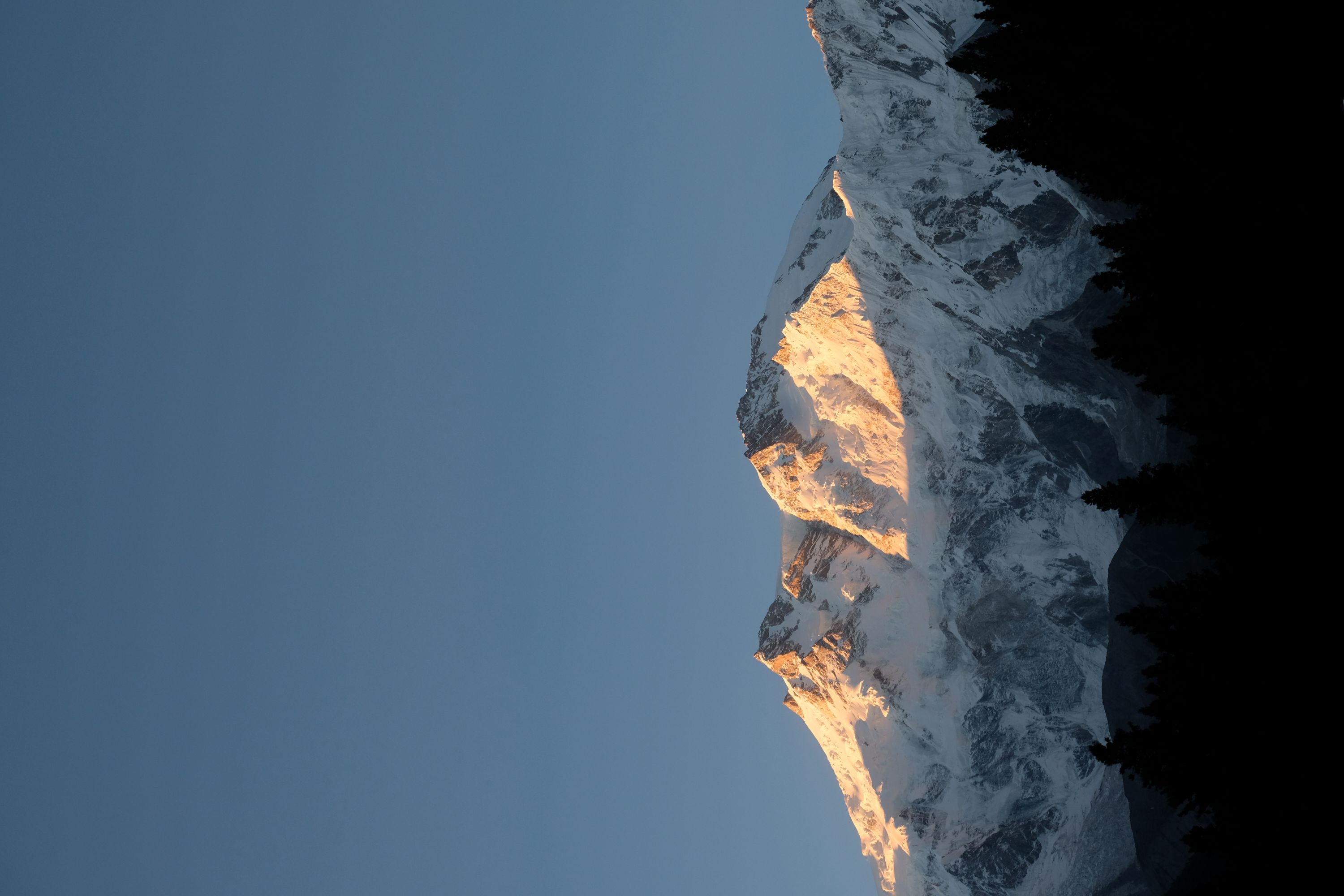 パキスタン フェアリーメドウ