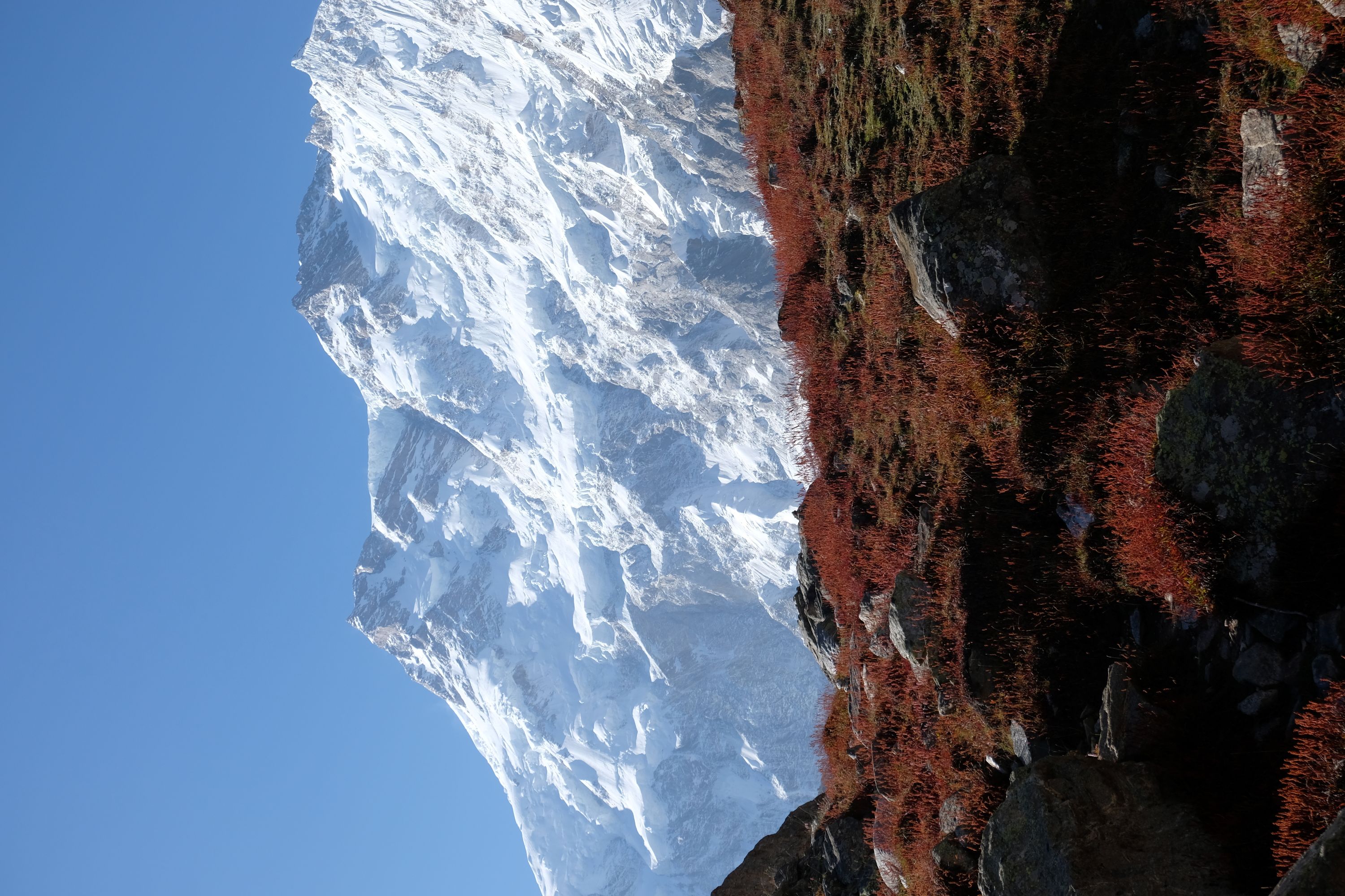 パキスタン フェアリーメドウ