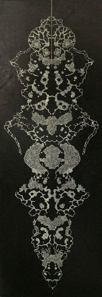 Mycetozoa 05 undefined