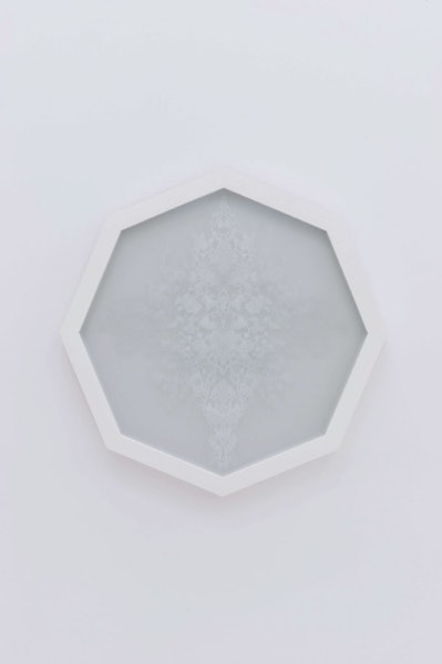 Präparat 01 undefined