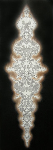 Mycetozoa 0 undefined