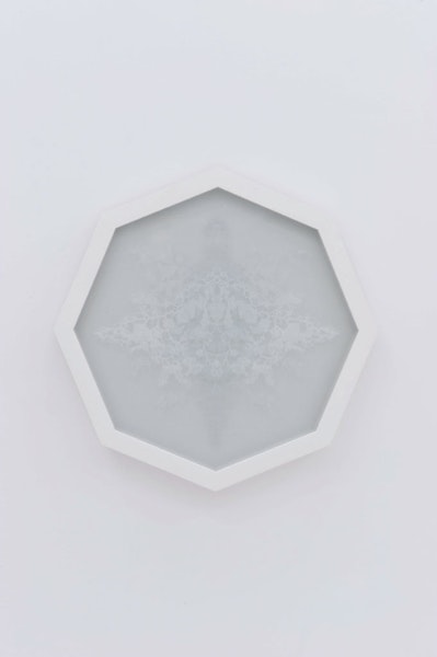 Präparat 02 undefined