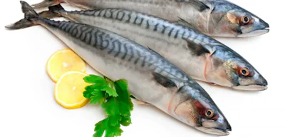 いまさらmackerelをインストールしてみる