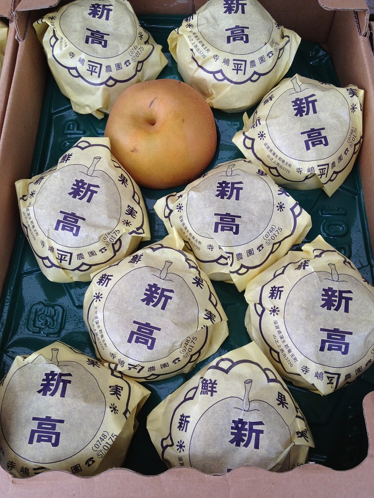 新高梨(5kg10個入り)