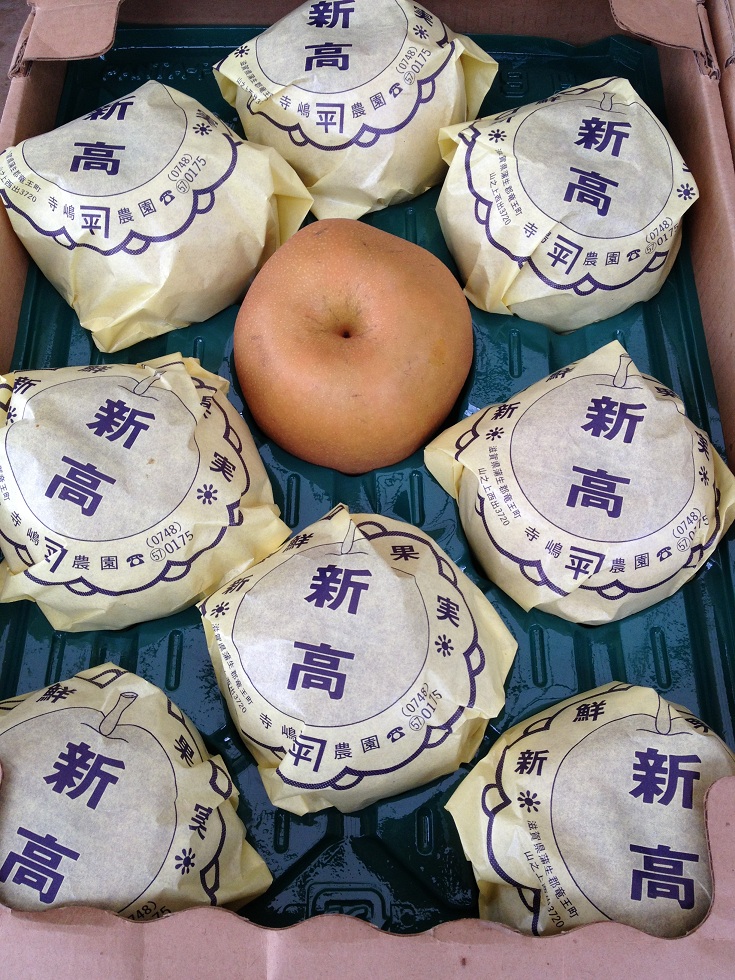 新高梨(5kg9個入り)