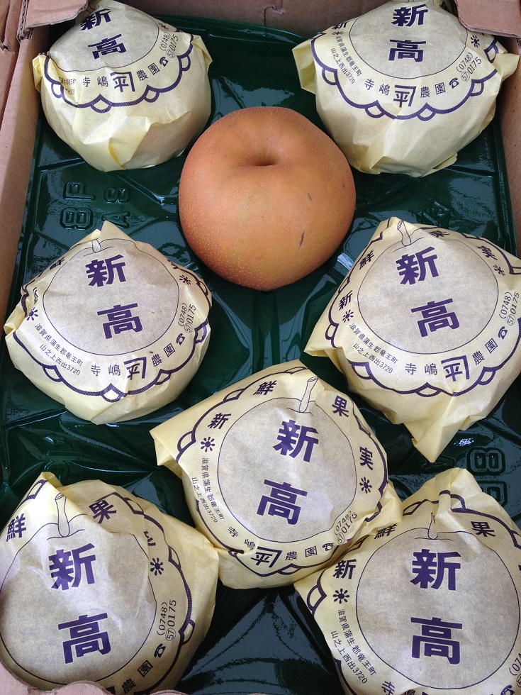 新高梨(5kg8個入り)