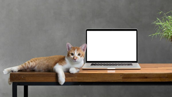 AstroとmicroCMSで、シンプルな個人ブログを開設のサムネイル