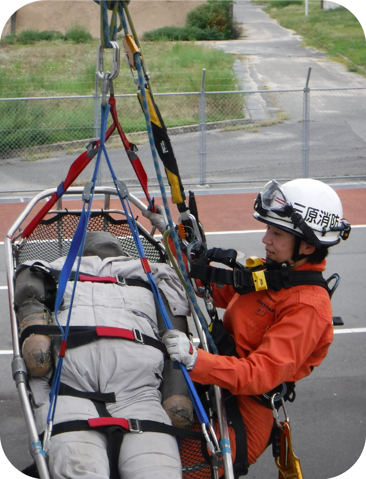 新宅 若葉さんの画像1