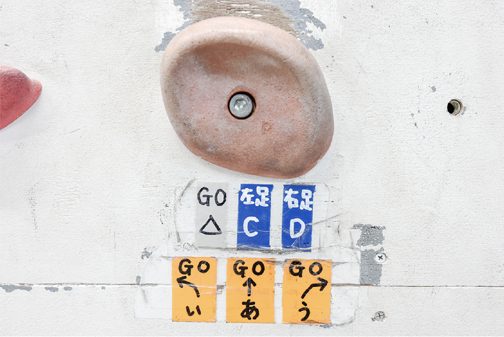 ホールドは難易度別に色や記号が異なるシールが貼られている。「GO」からスタートし、「FIN」で ゴール