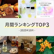 【2025年10月】月間ランキングTOP3