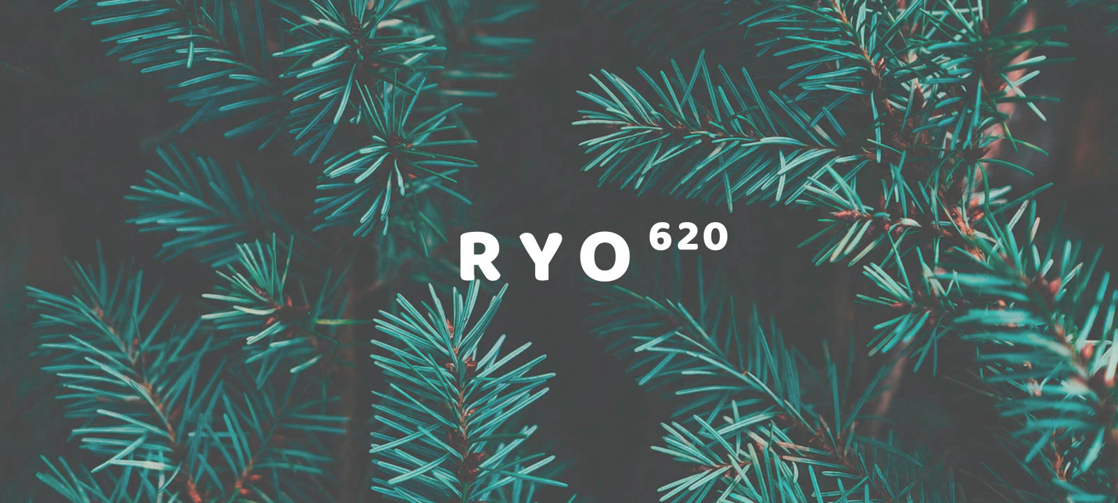 RYO620をリニューアル