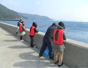 Wharf fishing