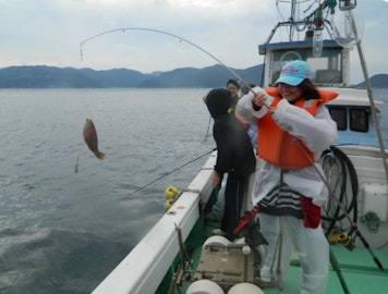 Boat fishing experience (Tomie area)