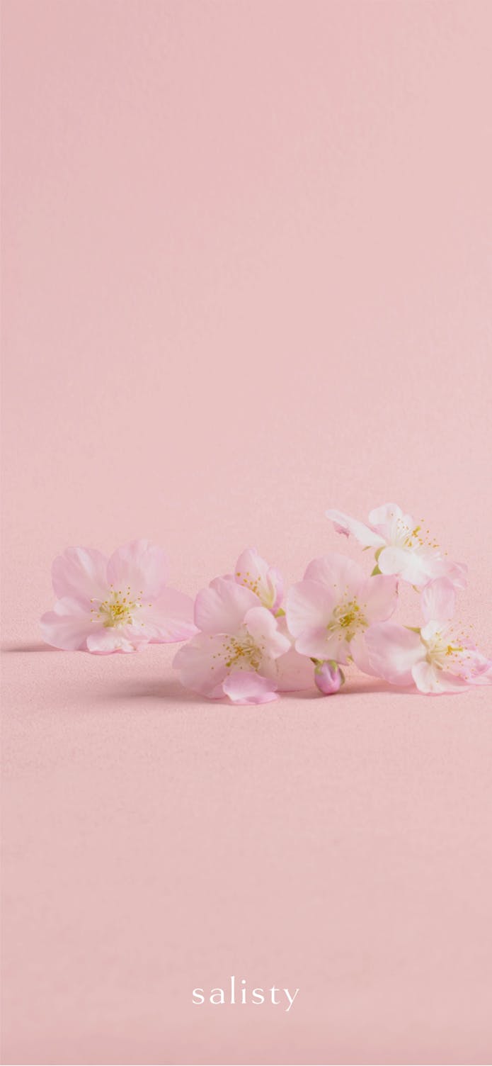 Wallpaper Salisty サリスティ 女性向けスマホケース モバイルアクセサリーブランド 公式サイト