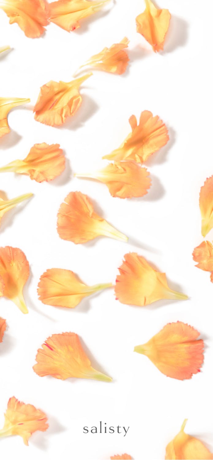 Wallpaper Salisty サリスティ 女性向けモバイルアクセサリーブランド 公式サイト