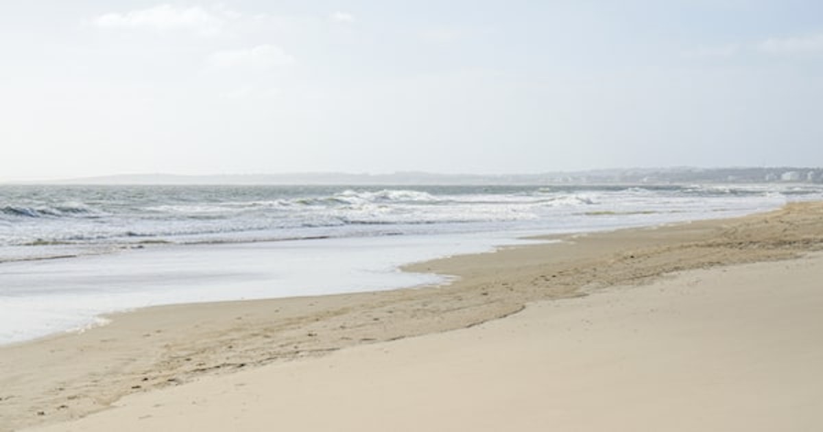 プレビュー用のタイトル