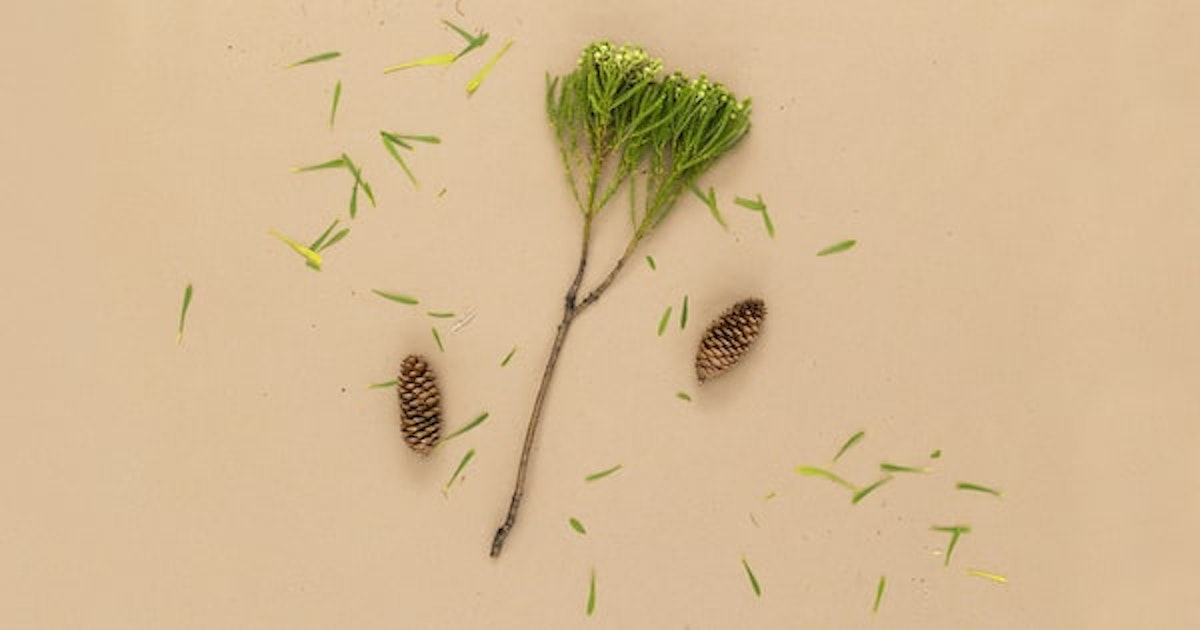 タイトルタイトルタイトルタイトルタイトルタイトルタイトルタイトルタイトルタイトルタイトル