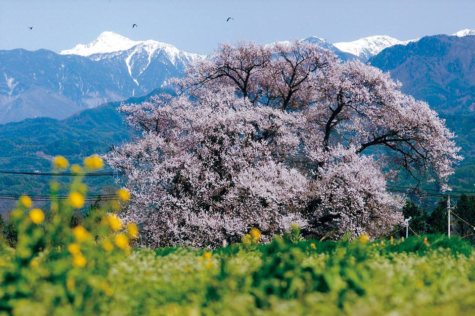 長野県高森町