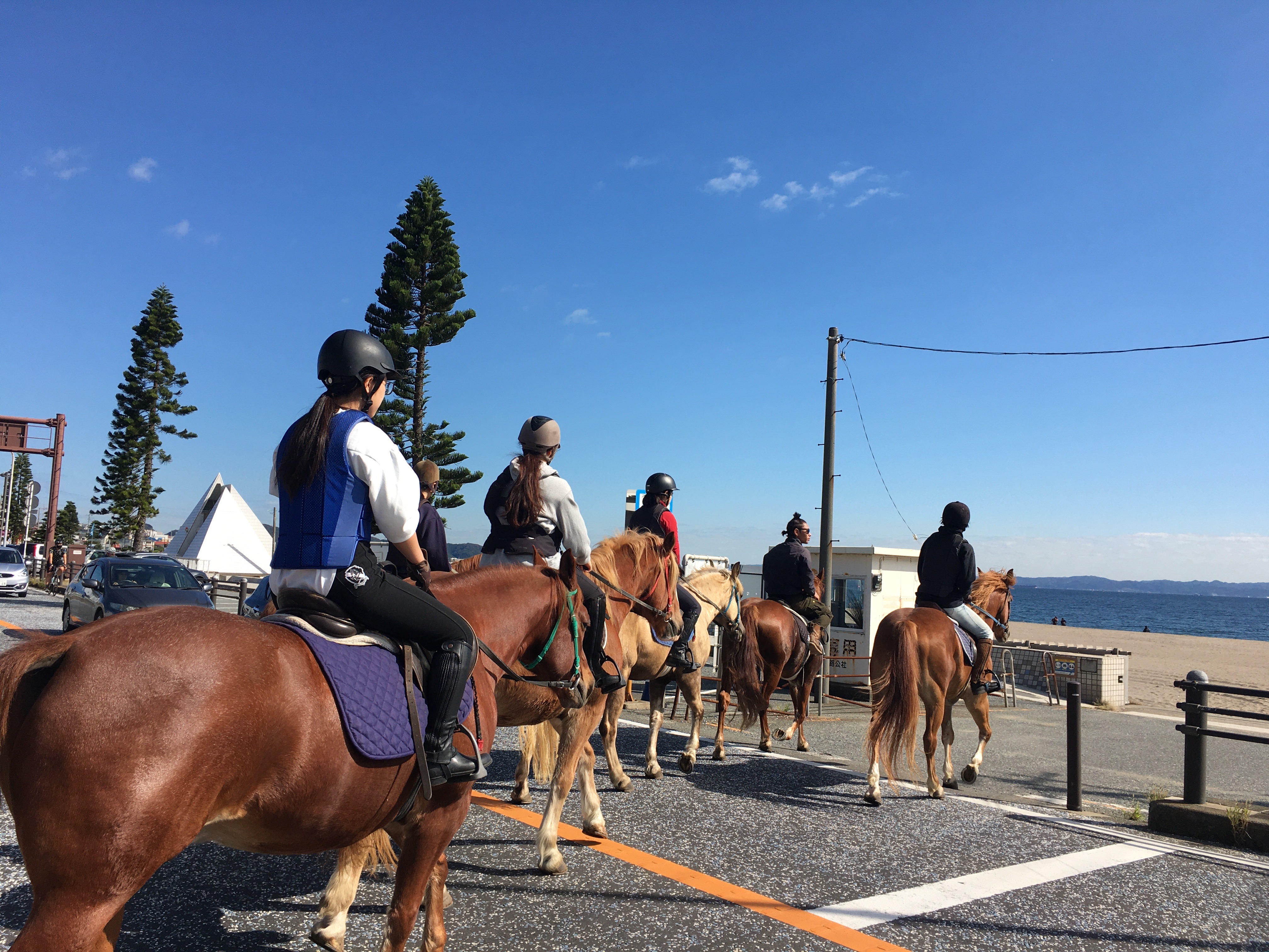 まるで海外のような非日常体験 三浦海岸を馬で優雅にトレッキング 三浦cocoon 三浦半島からのあたらしいすごしかた提案