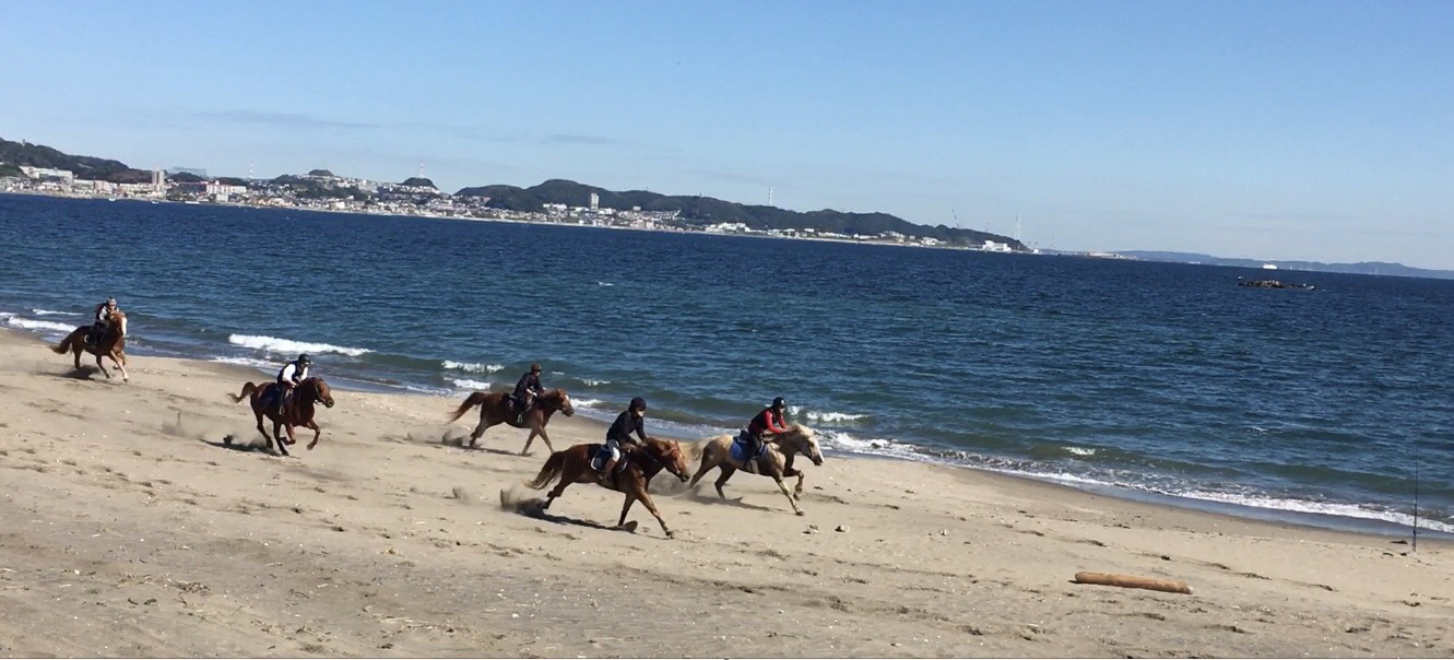 まるで海外のような非日常体験 三浦海岸を馬で優雅にトレッキング 三浦cocoon 三浦半島からのあたらしいすごしかた提案
