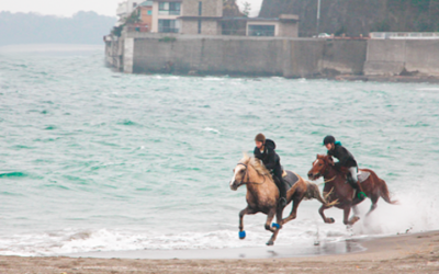 まるで海外のような非日常体験 三浦海岸を馬で優雅にトレッキング 三浦cocoon 三浦半島からのあたらしいすごしかた提案