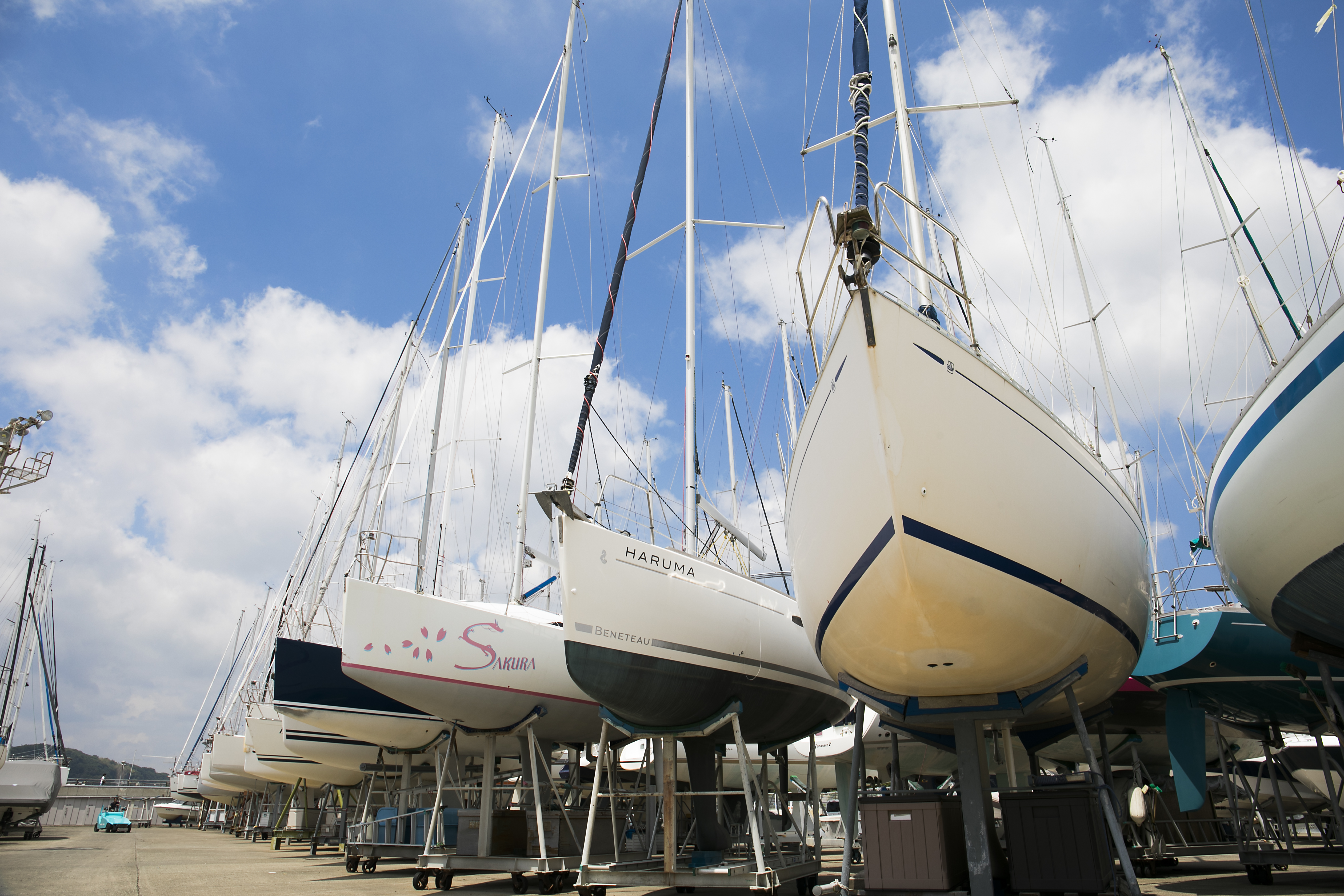 大海原を駆け巡ろう 江の島 裕次郎灯台周遊クルージング 三浦cocoon 三浦半島からのあたらしいすごしかた提案