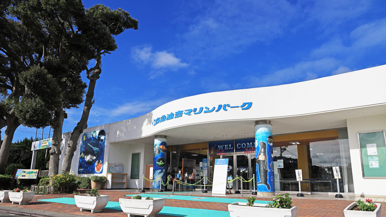 マリンパークで三浦の海と自然、生き物たちを満喫!!