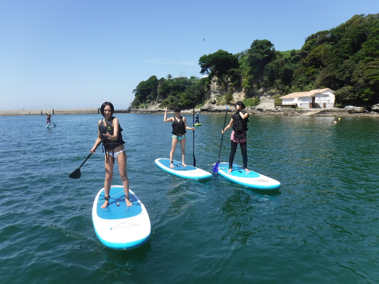 自然がいっぱい！三浦小網代湾SUPツアー