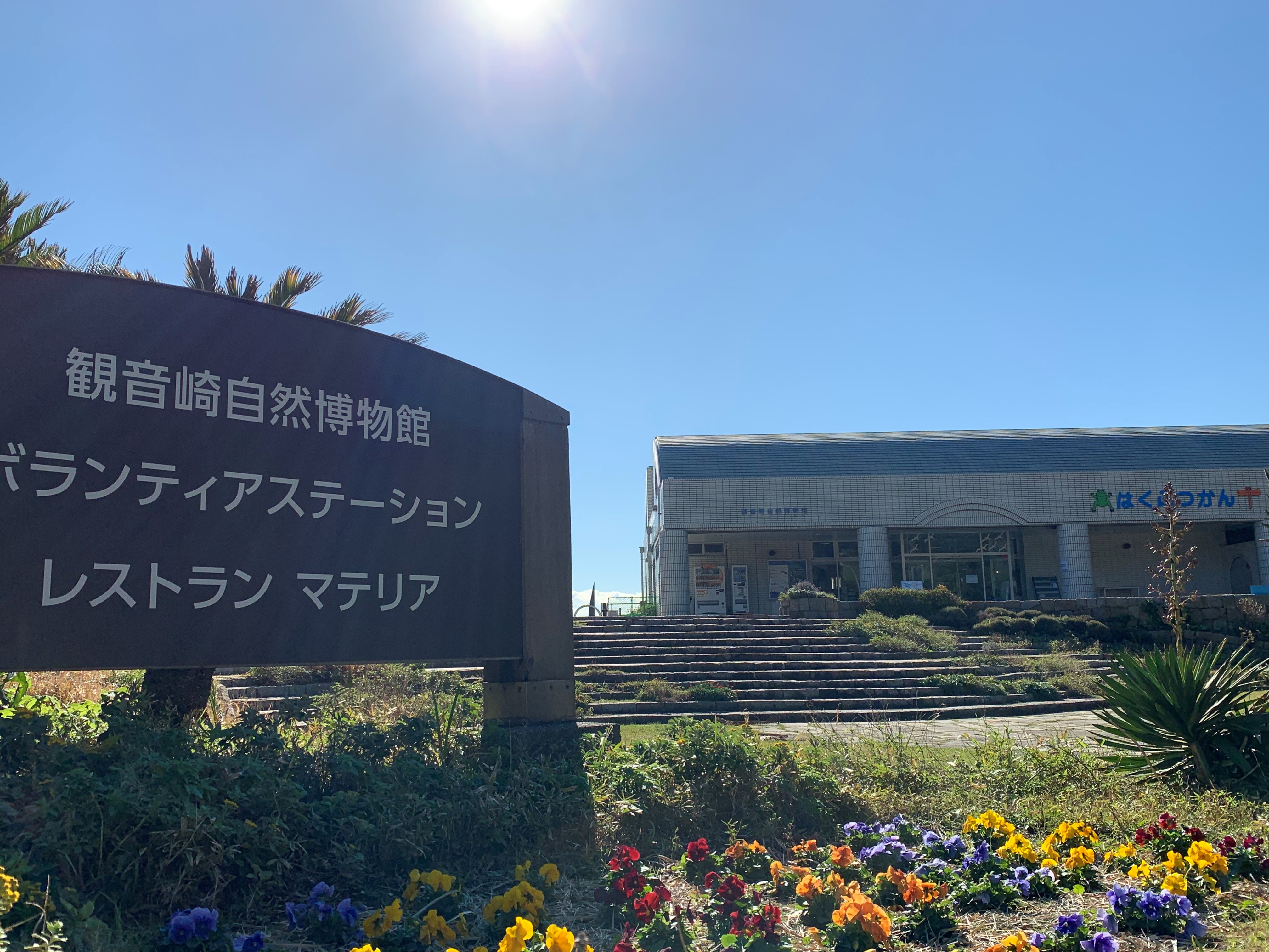 【三浦半島と東京湾集水域の自然が楽しめる!】観音崎自然博物館