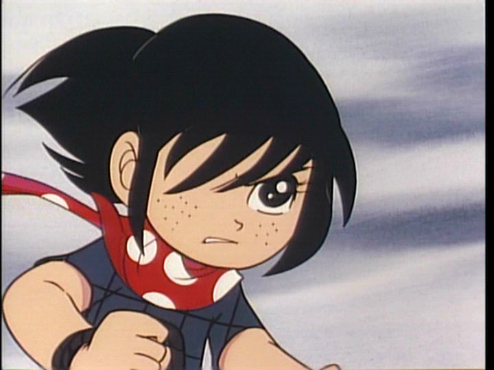 想い出のアニメライブラリー 第51集 サスケ HDリマスター DVD-BOX〈…