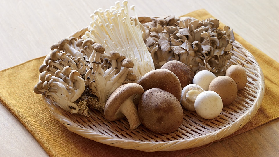 旬のきのこと やさしい和漢だし で体喜ぶレシピ 久原本家 折々の会 旬のきのこと やさしい和漢だし で体喜ぶレシピ 久原本家 折々の会