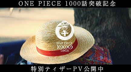 One Piece1000logs