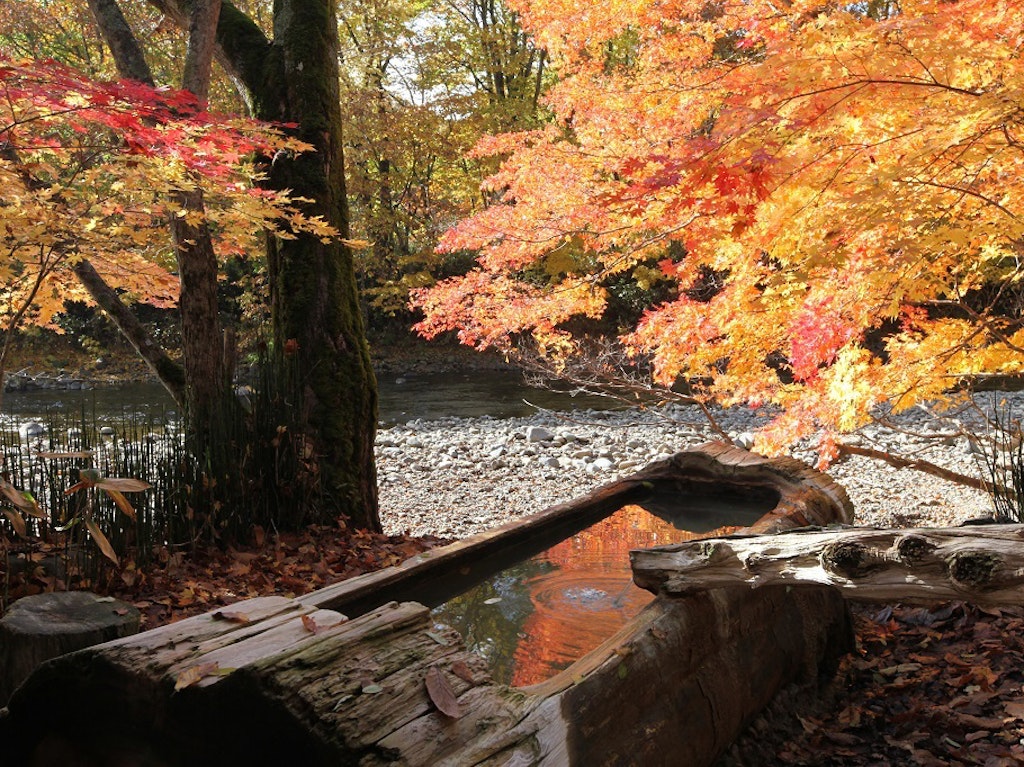 北海道の紅葉の時期 札幌からもいける9月上旬 11月北海道の紅葉スポット Recotrip レコトリップ