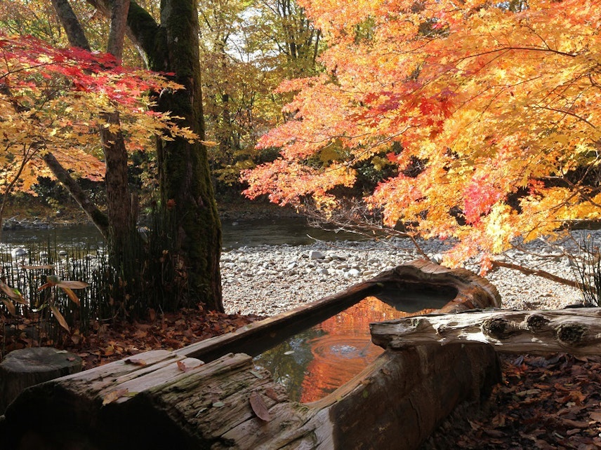 北海道の紅葉の時期 札幌からもいける9月上旬 11月北海道の紅葉スポット Recotrip レコトリップ 北海道の紅葉の時期 札幌からもいける9月上旬 11月北海道の紅葉スポット Recotrip レコトリップ