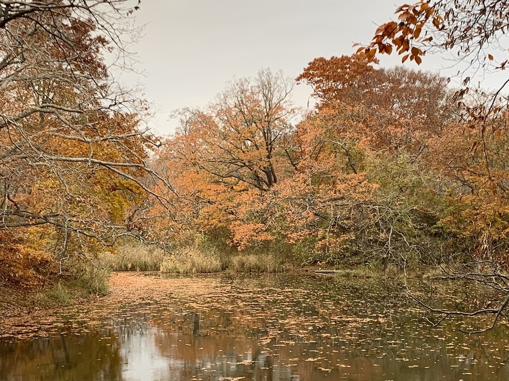 北海道の紅葉の時期 札幌からもいける9月上旬 11月北海道の紅葉スポット Recotrip レコトリップ