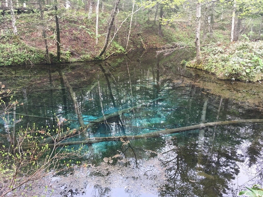 北海道の秘境絶景おすすめ観光スポット 札幌から日帰りで行ける絶景スポット Recotrip レコトリップ 北海道の秘境絶景おすすめ観光スポット 札幌から日帰りで行ける絶景スポット Recotrip レコトリップ
