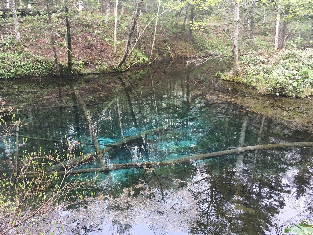 北海道の秘境絶景おすすめ観光スポット 札幌から日帰りで行ける絶景スポット Recotrip レコトリップ