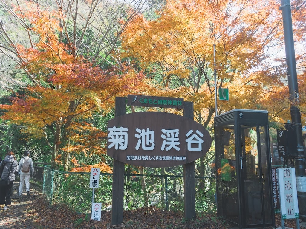 阿蘇観光のおすすめドライブスポットを紹介 熊本観光のモデルコースに Recotrip レコトリップ